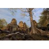 Angkor 2015_0441
