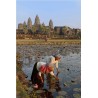 Angkor 2015_1153