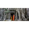 Angkor Ta Prohm pano_1651