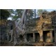Angkor 2015_1832
