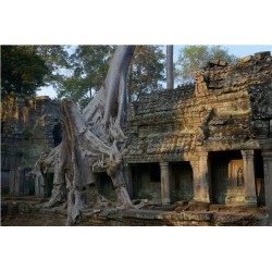 Angkor 2015_1832
