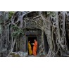 Angkor 2015_1649