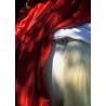Panoramique d'une arlésienne amazone en robe rouge