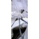 Panoramique de l'Arlésienne gant blanc