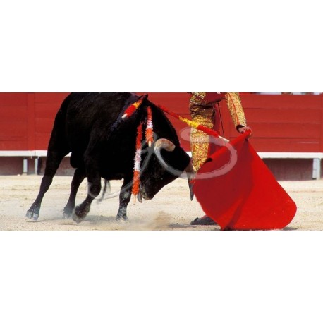 Panoramique corrida Cap rouge