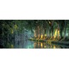 canal_pano